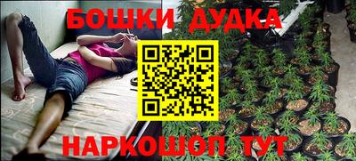 стаф Бузулук