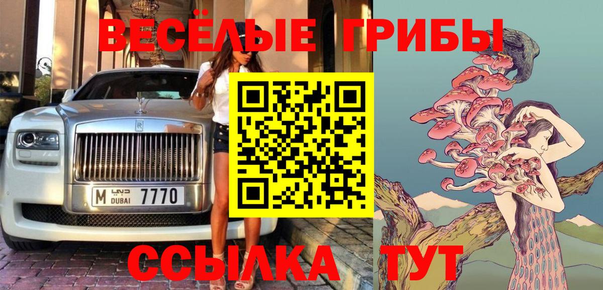Псилоцибиновые грибы Psilocybine cubensis  Галлюциногенные грибы ЛСД  Муравленко  закладки  Вход с VPN 